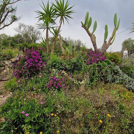 La Fragola In Campagna 6 K M Da San Pantaleo Hotel ภายนอก รูปภาพ